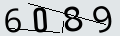 verifycode